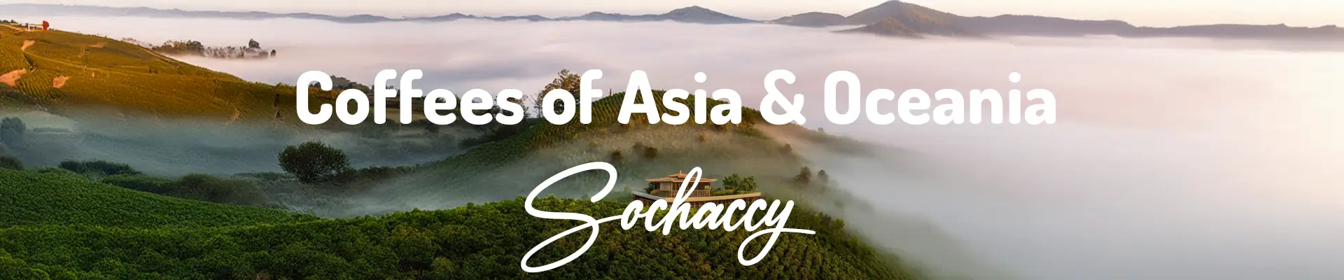 Kawy Azji i Oceanii - Sochaccy.Co