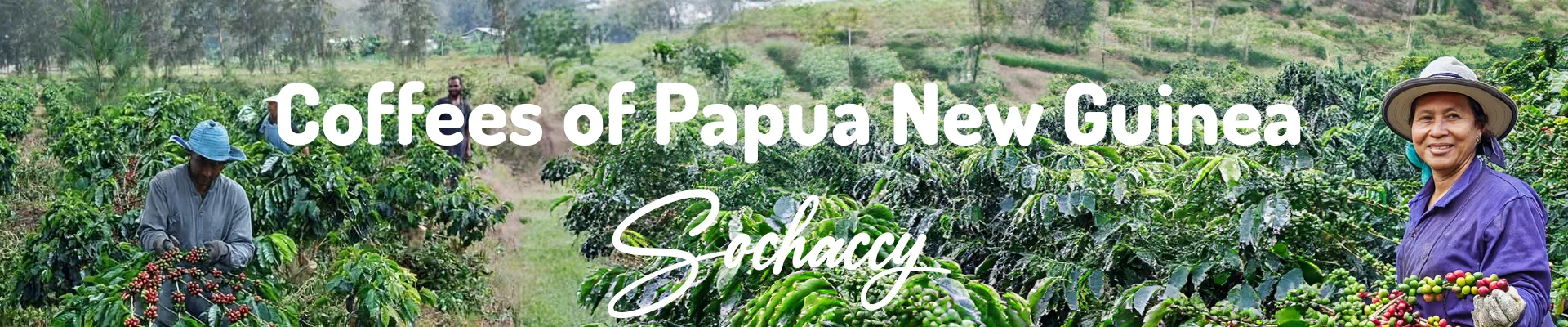 Kawa Papua Nowa Gwinea