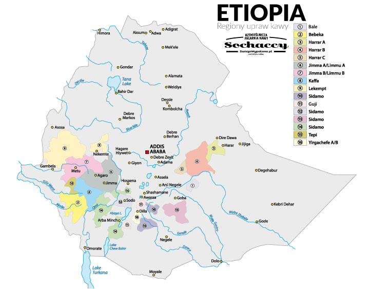 regiony upraw kawy w Etiopii - Sochaccy.Co